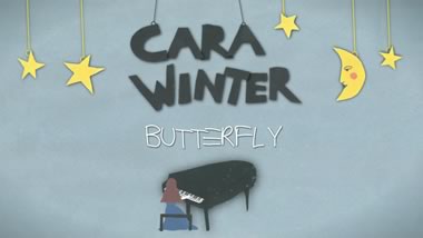 butterfly